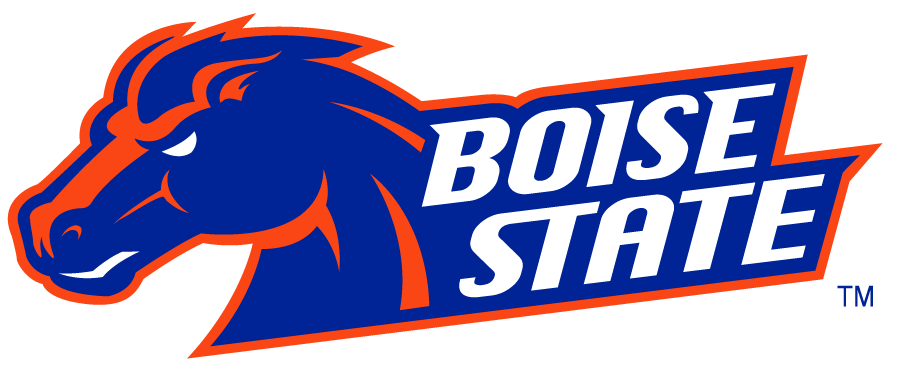 Boise State Broncos 2002-2012 Secondary Logo v21 diy iron on heat transfer